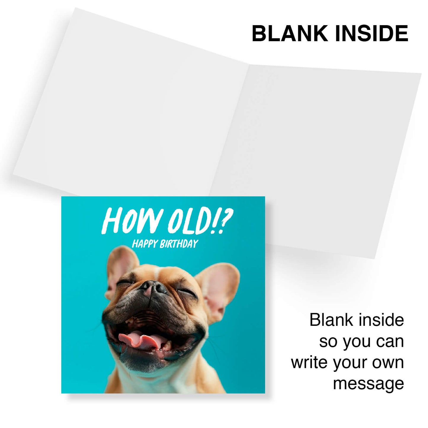 How Old!? – French Bulldog Birthday Card