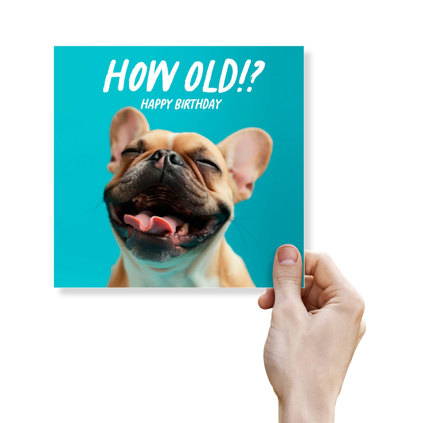 How Old!? – French Bulldog Birthday Card