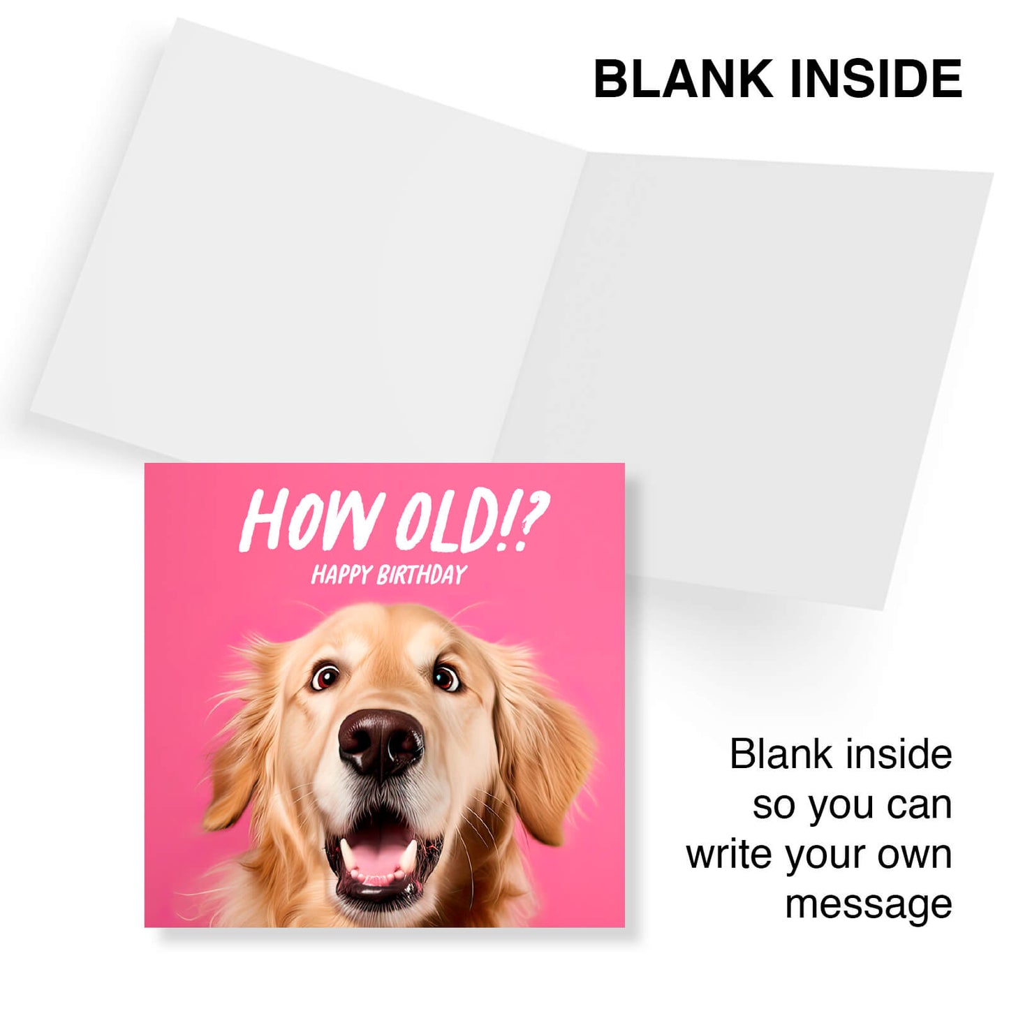 How Old!? – Golden Retriever Birthday Card