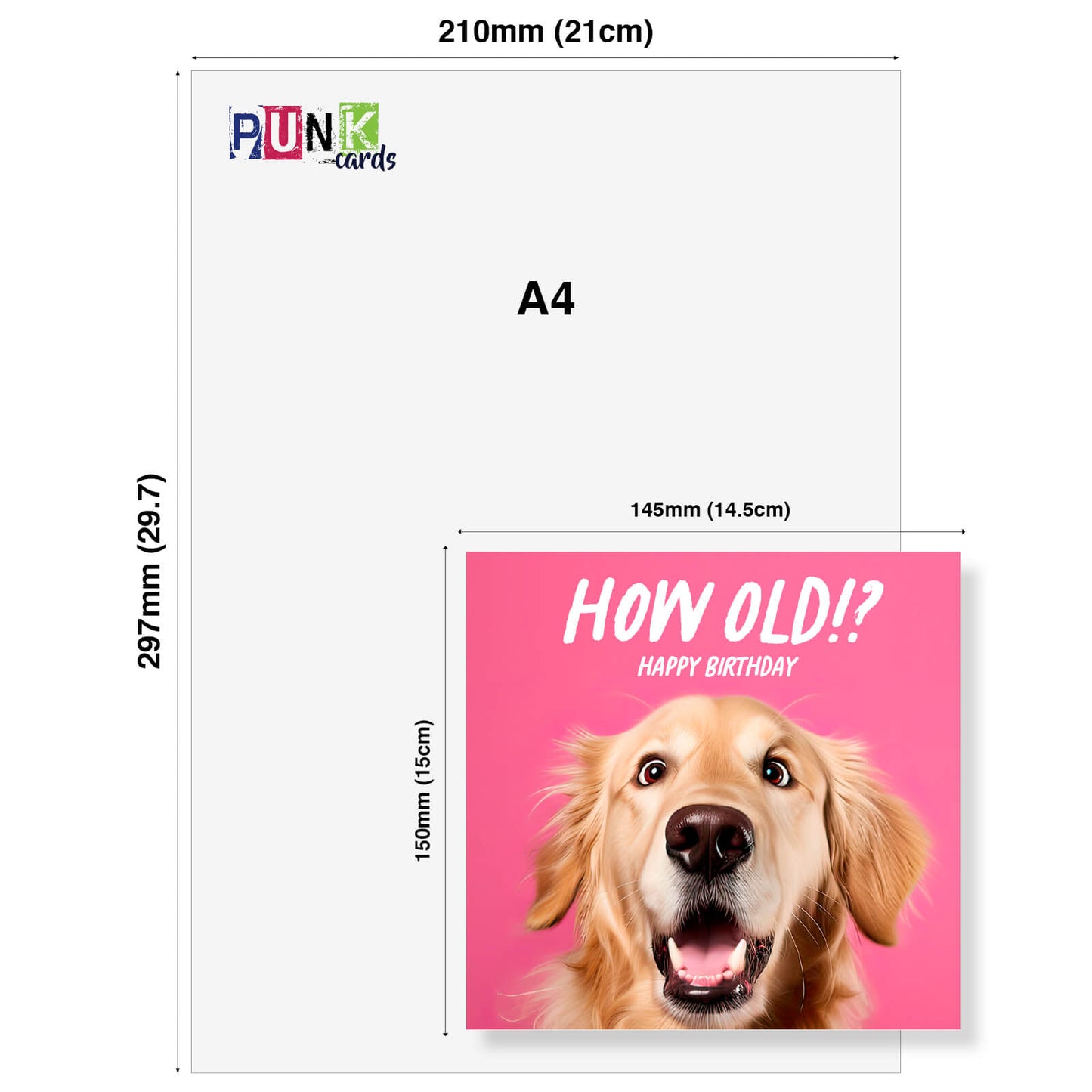 How Old!? – Golden Retriever Birthday Card