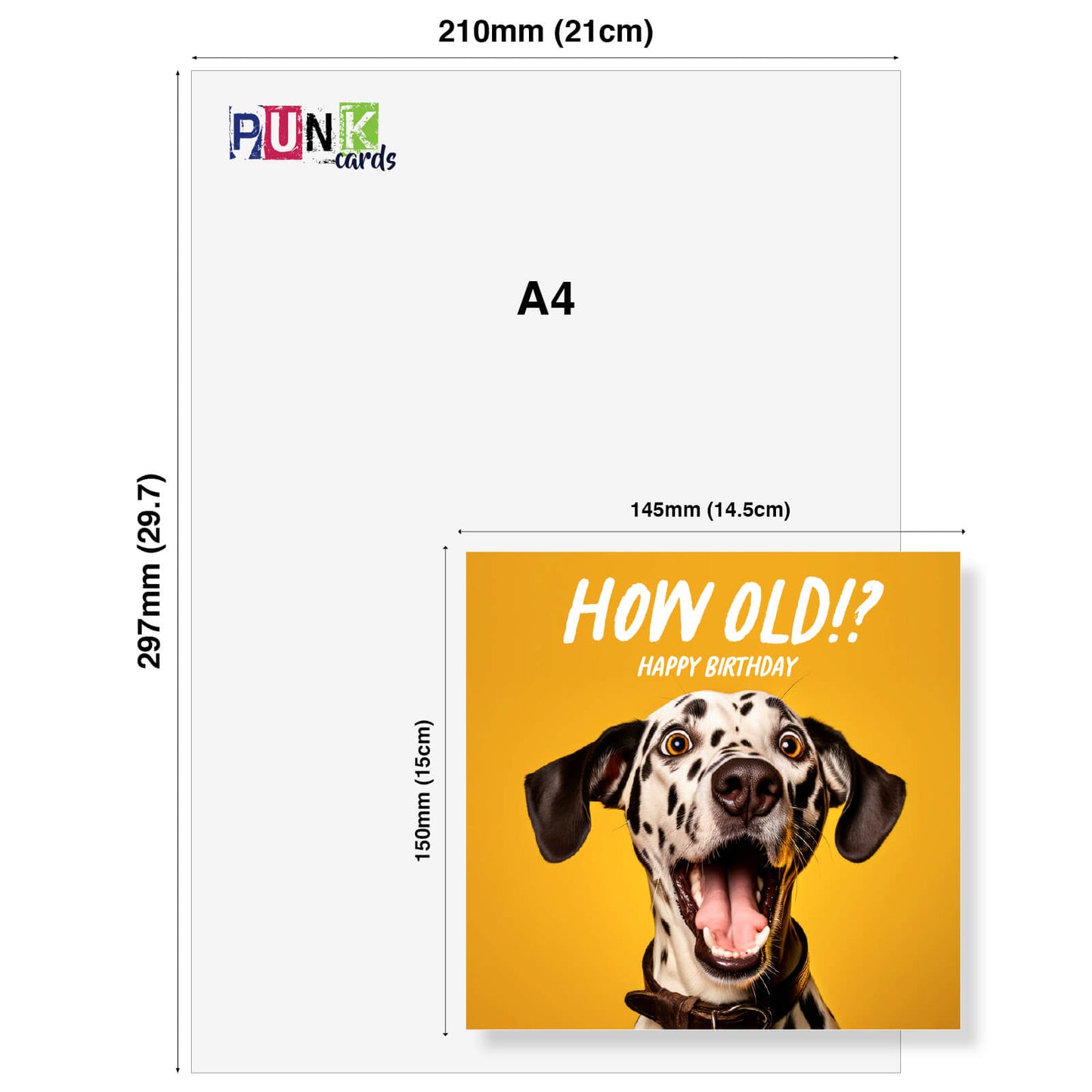How Old!? – Dalmatian Birthday Card
