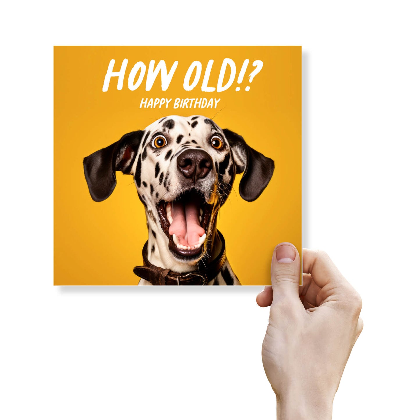 How Old!? – Dalmatian Birthday Card
