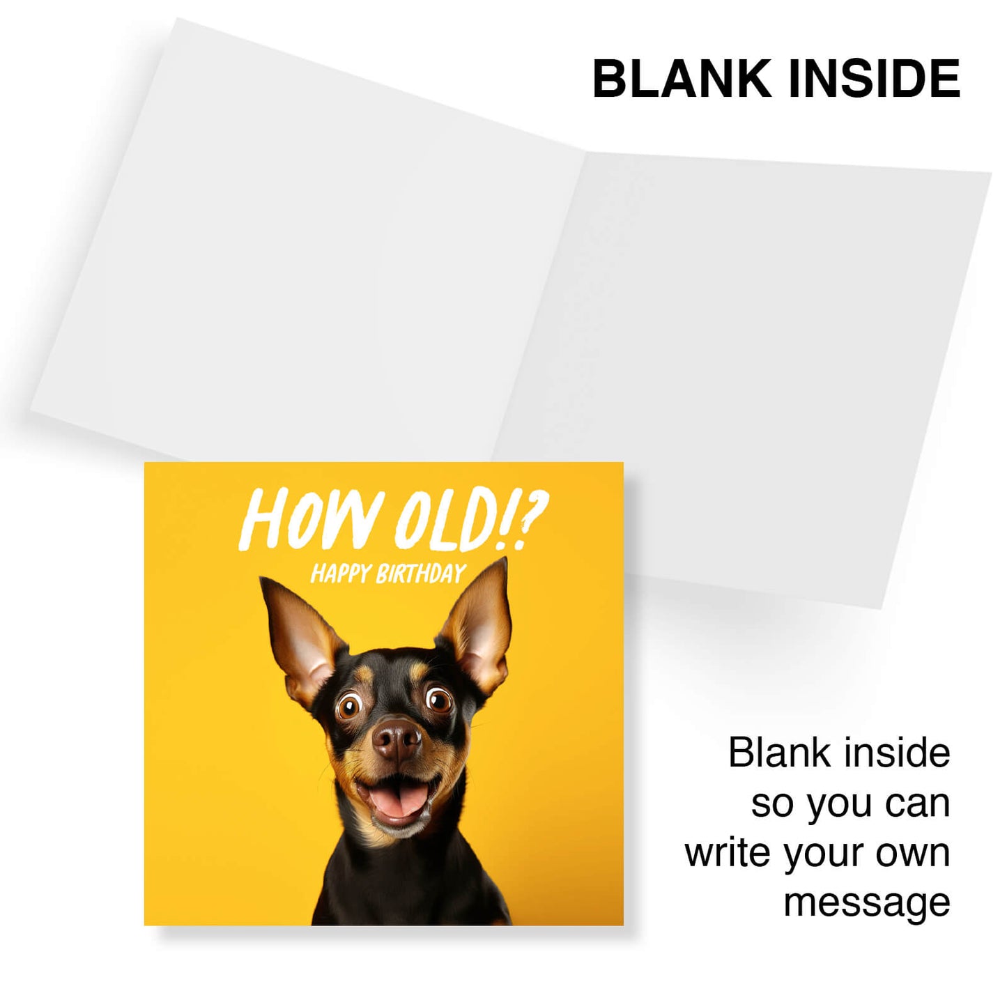 How Old!? – Mini Pinscher Birthday Card