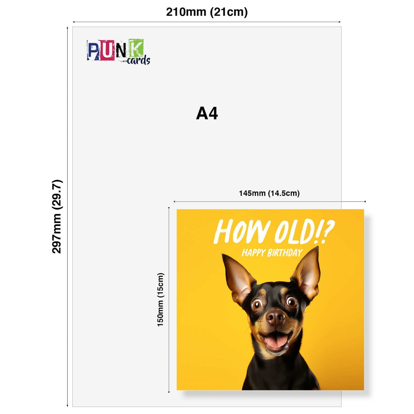 How Old!? – Mini Pinscher Birthday Card