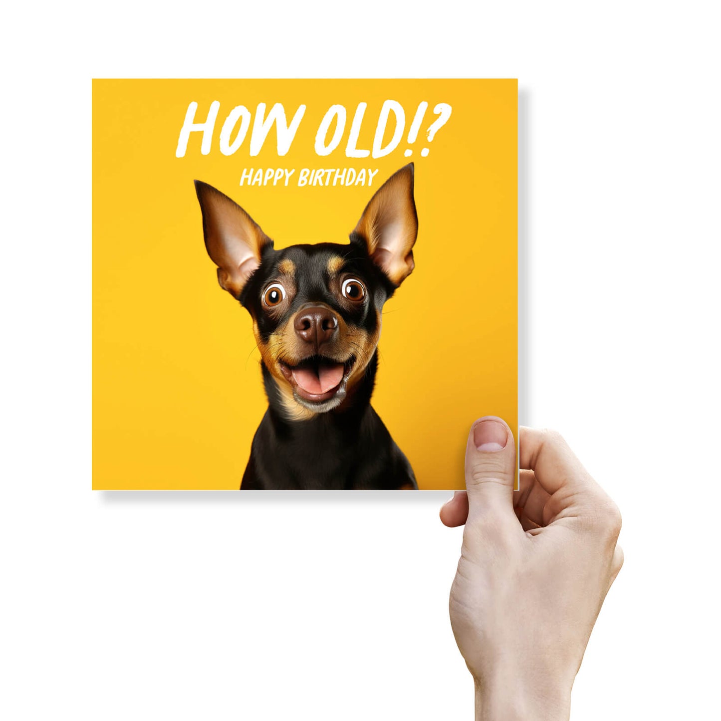 How Old!? – Mini Pinscher Birthday Card