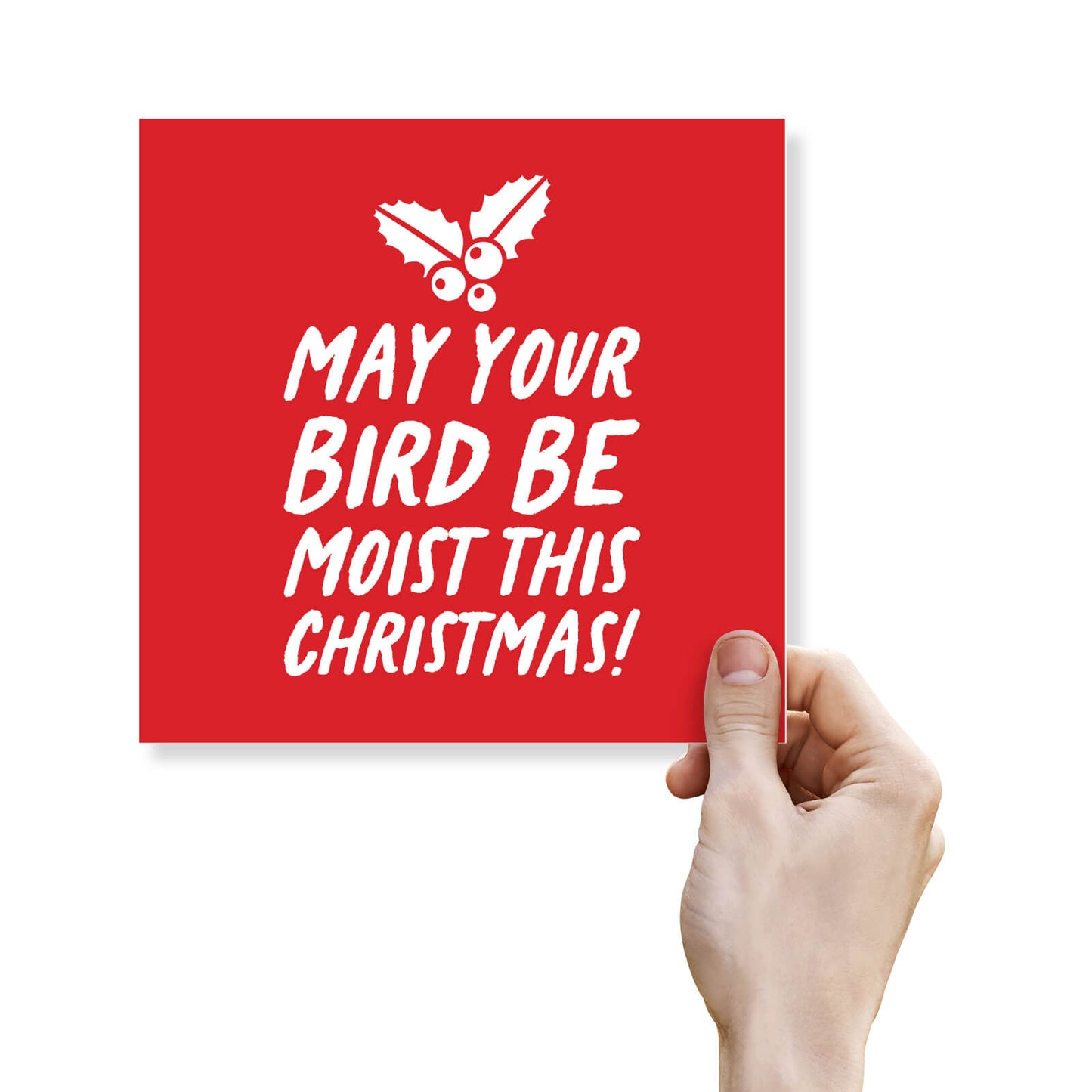 "May Your Bird Be Moist" - Cheeky Christmas Card