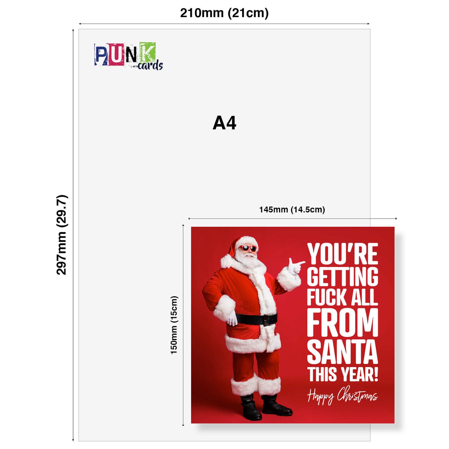 You're Getting Fuck All from Santa Christmas Card