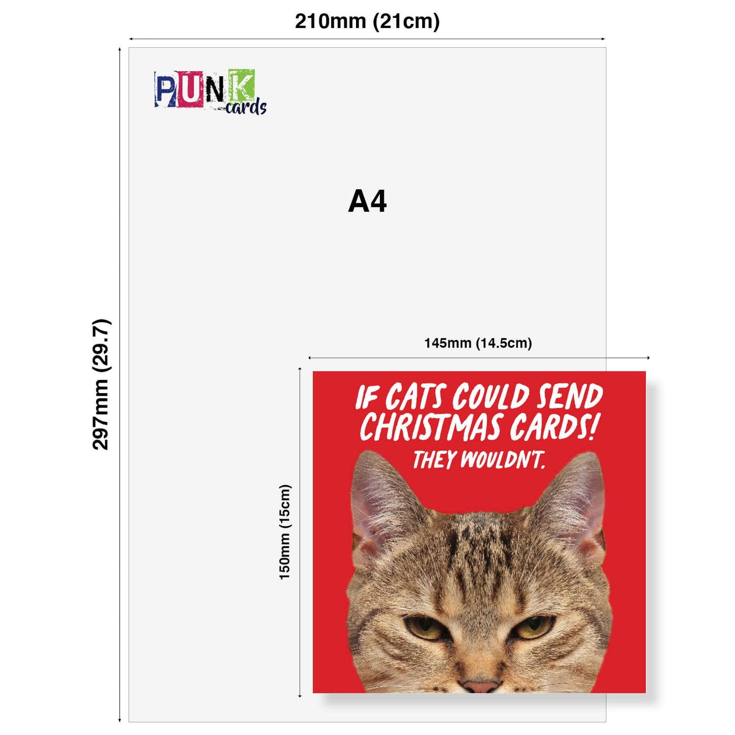 If Cats Could Send Christmas Cards