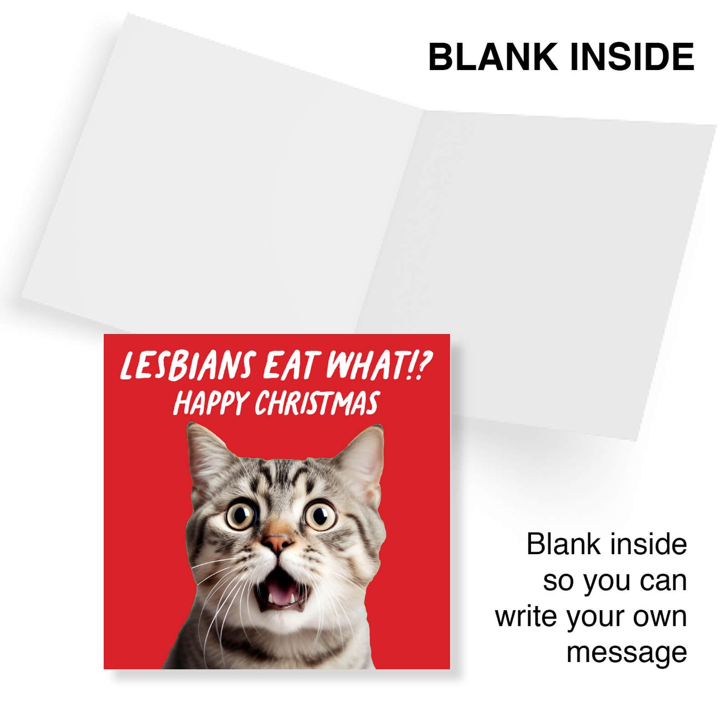"Lesbians Eat What?! Happy Christmas" Shocked Cat Card