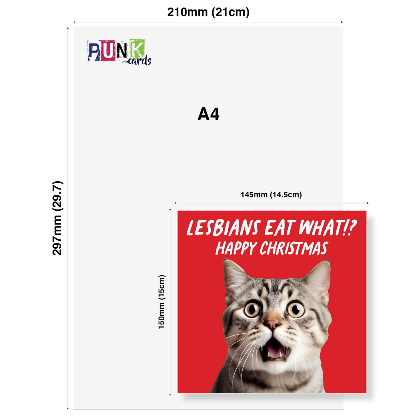 "Lesbians Eat What?! Happy Christmas" Shocked Cat Card
