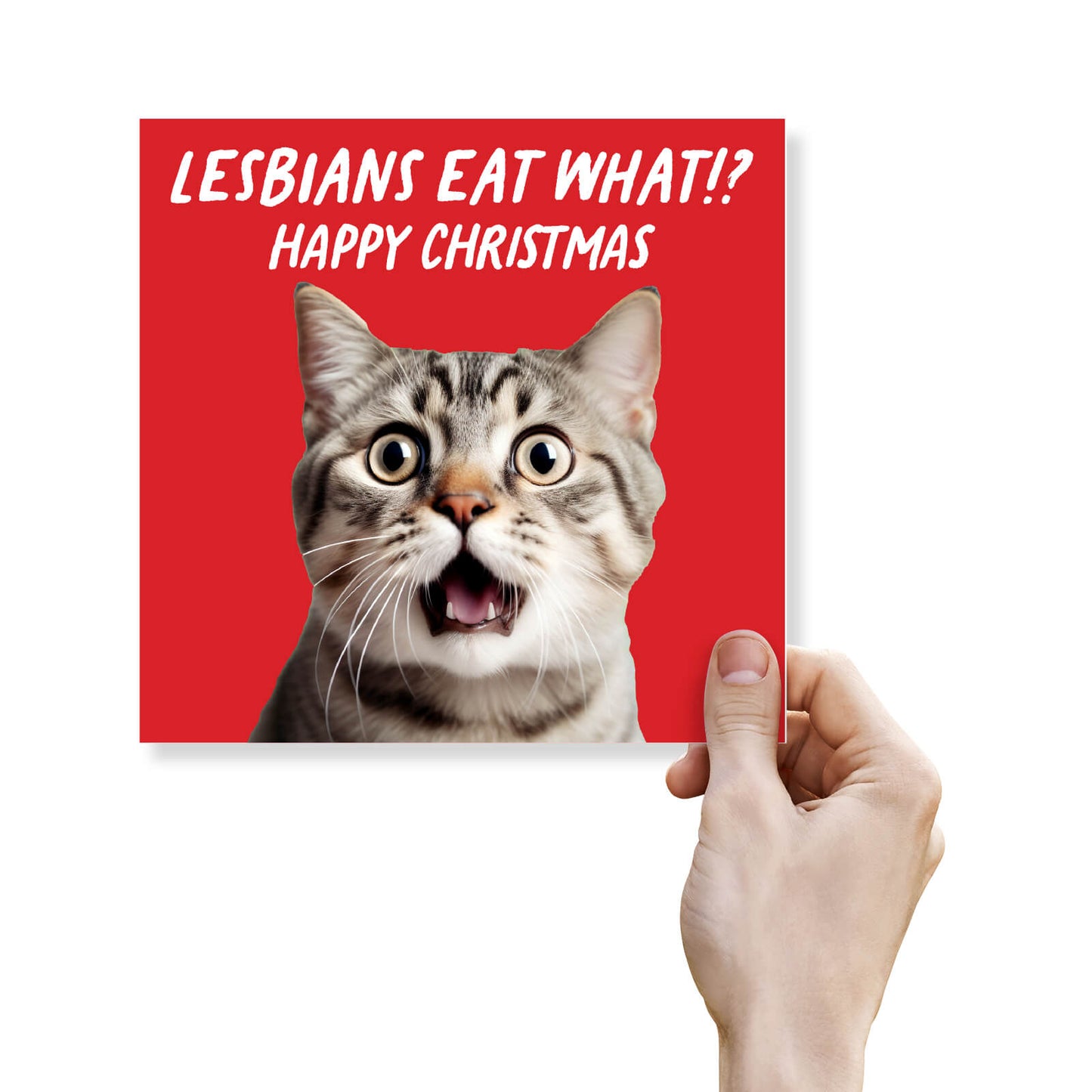 "Lesbians Eat What?! Happy Christmas" Shocked Cat Card