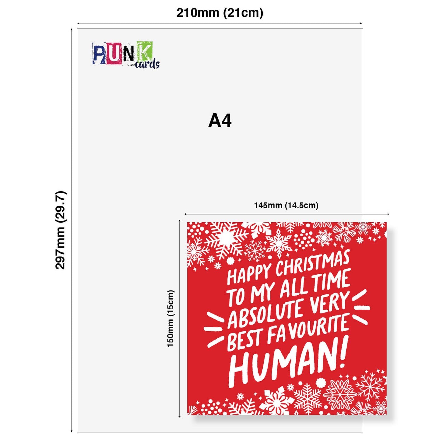 "Happy Christmas to My All-Time Absolute Very Best Favourite Human!" Snowflake Card