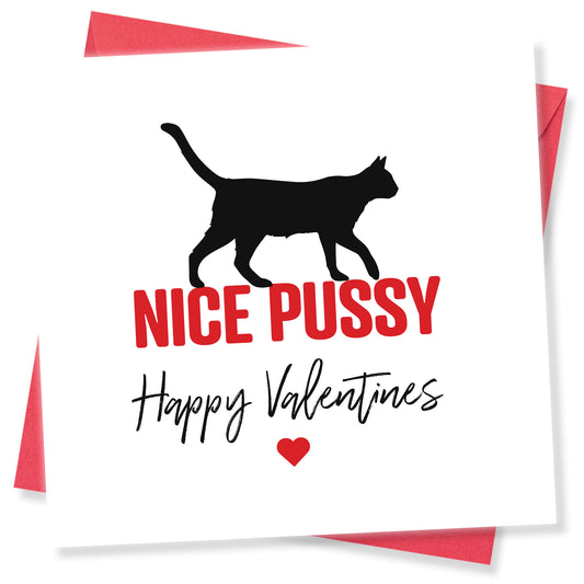 "Nice Pussy" Valentine's Day Card