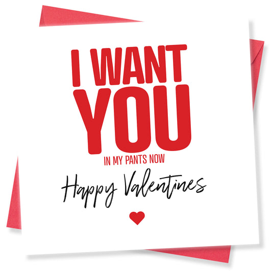 "I Want You In My Pants Now" Valentine's Day Card