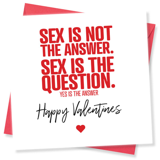 Sex Is Not The Answer. Sex Is The Question. Yes Is The Answer.