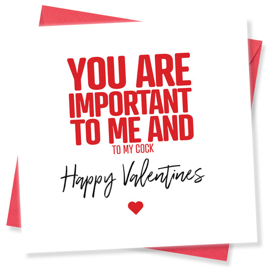 You Are Important To Me And To My Cock