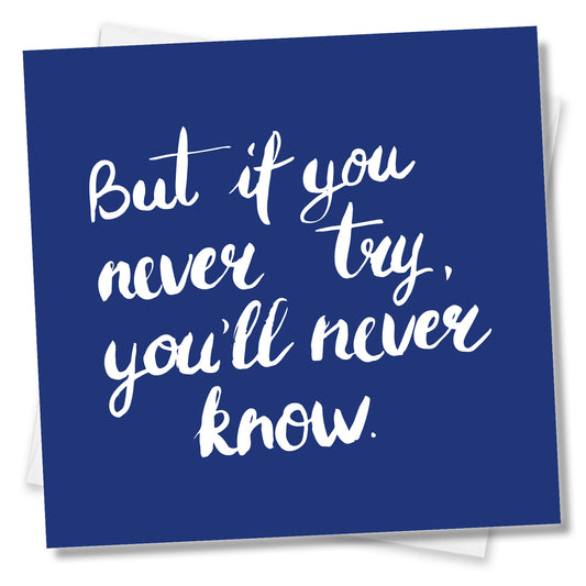 But If You Never Try You’ll Never Know