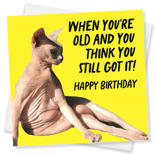 "When You’re Old and Think You Still Got It" Cat Card