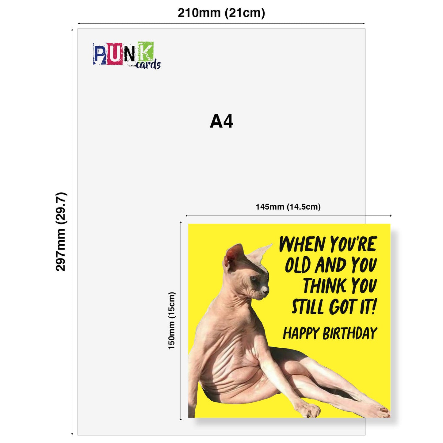 "When You’re Old and Think You Still Got It" Cat Card