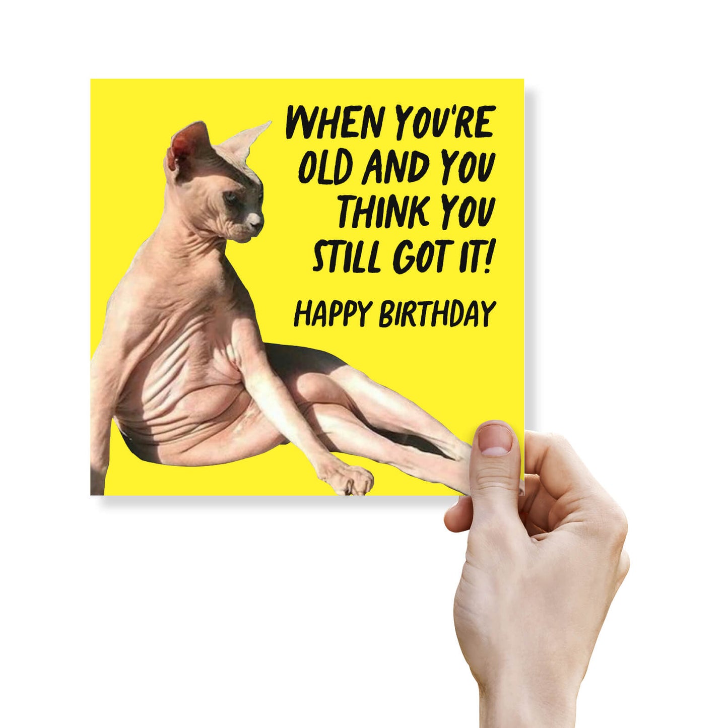 "When You’re Old and Think You Still Got It" Cat Card