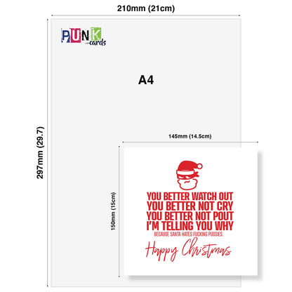 Santa Hates Pussies