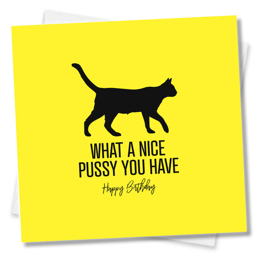 What a Nice Pussy – Birthday Card
