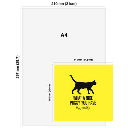 What a Nice Pussy – Birthday Card