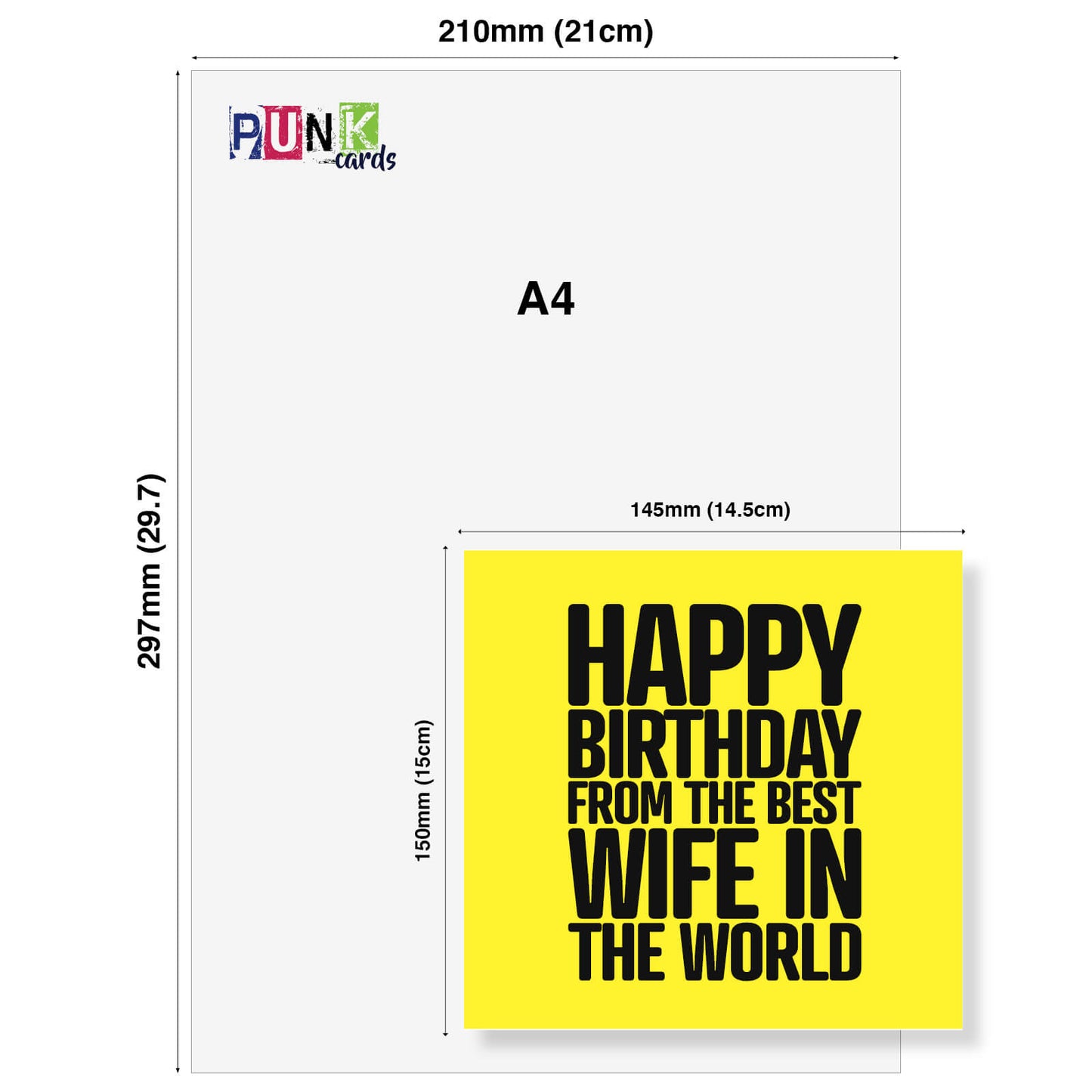 Happy Birthday From the Best Wife in the World - Humorous Card
