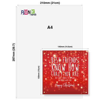 Best Friends Know How Crazy You Are Christmas Card