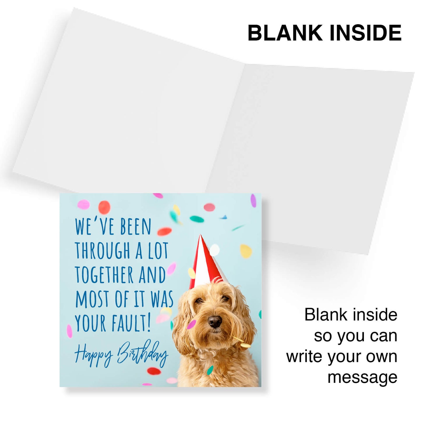 Your Fault – Funny Dog Birthday Card