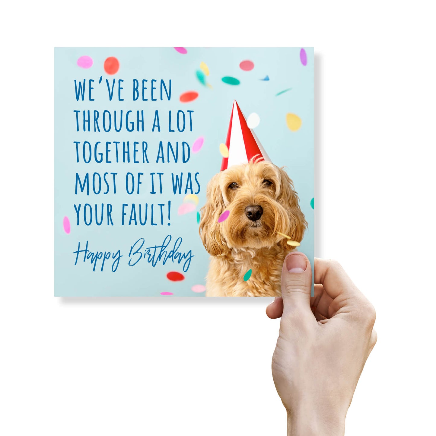 Your Fault – Funny Dog Birthday Card
