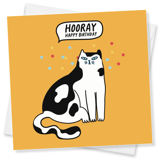 Hooray! Happy Birthday – Grumpy Cat Card