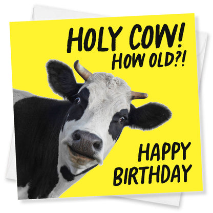 Holy Cow! How Old?! Birthday Card