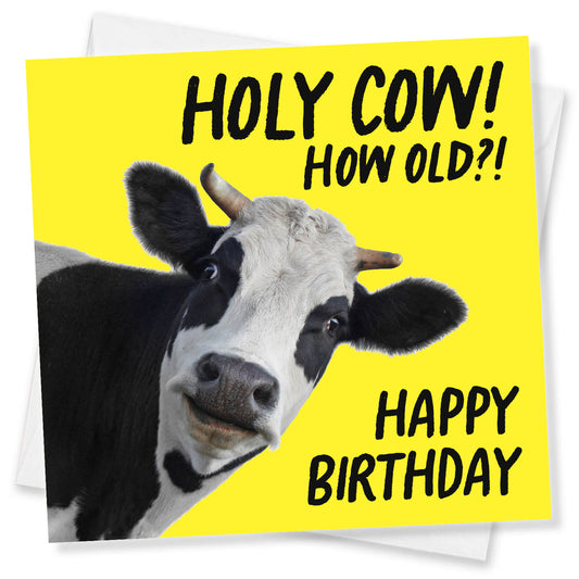 Holy Cow! How Old?! Birthday Card