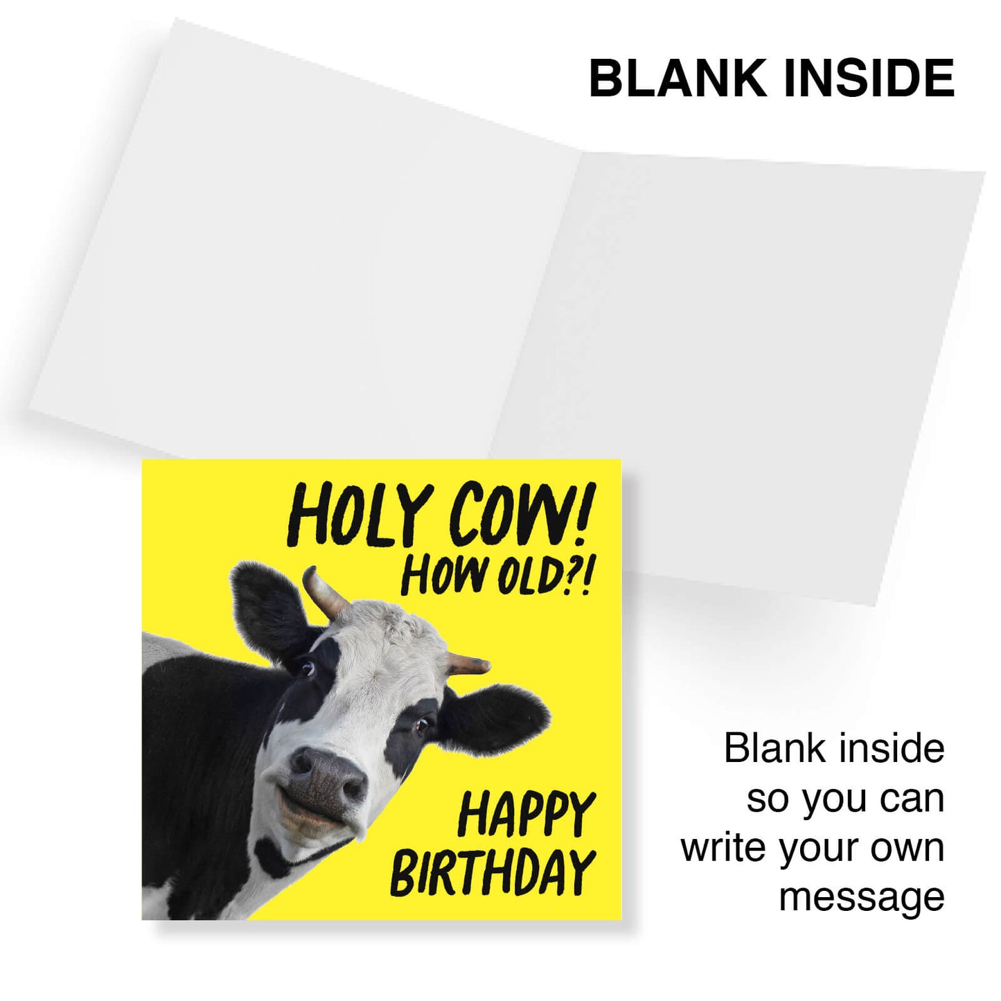 Holy Cow! How Old?! Birthday Card
