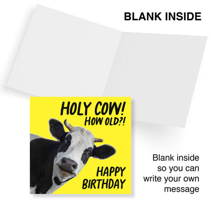 Holy Cow! How Old?! Birthday Card