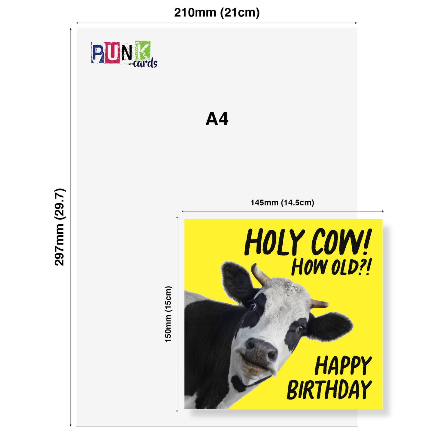 Holy Cow! How Old?! Birthday Card