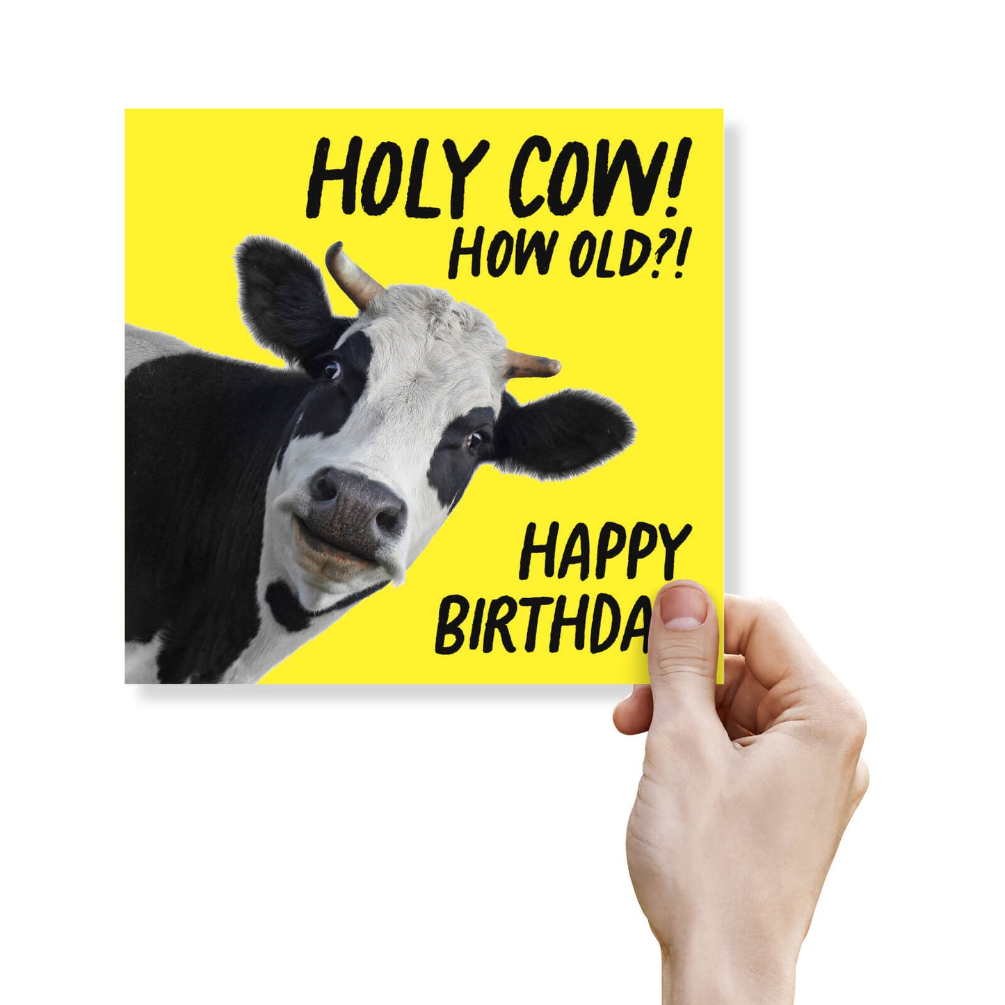 Holy Cow! How Old?! Birthday Card