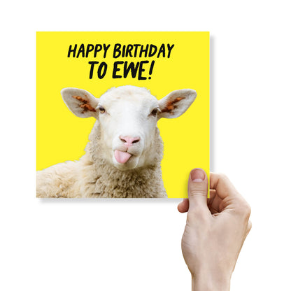 Happy Birthday to Ewe!