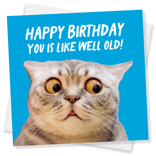 You Is Like Well Old (Cat)