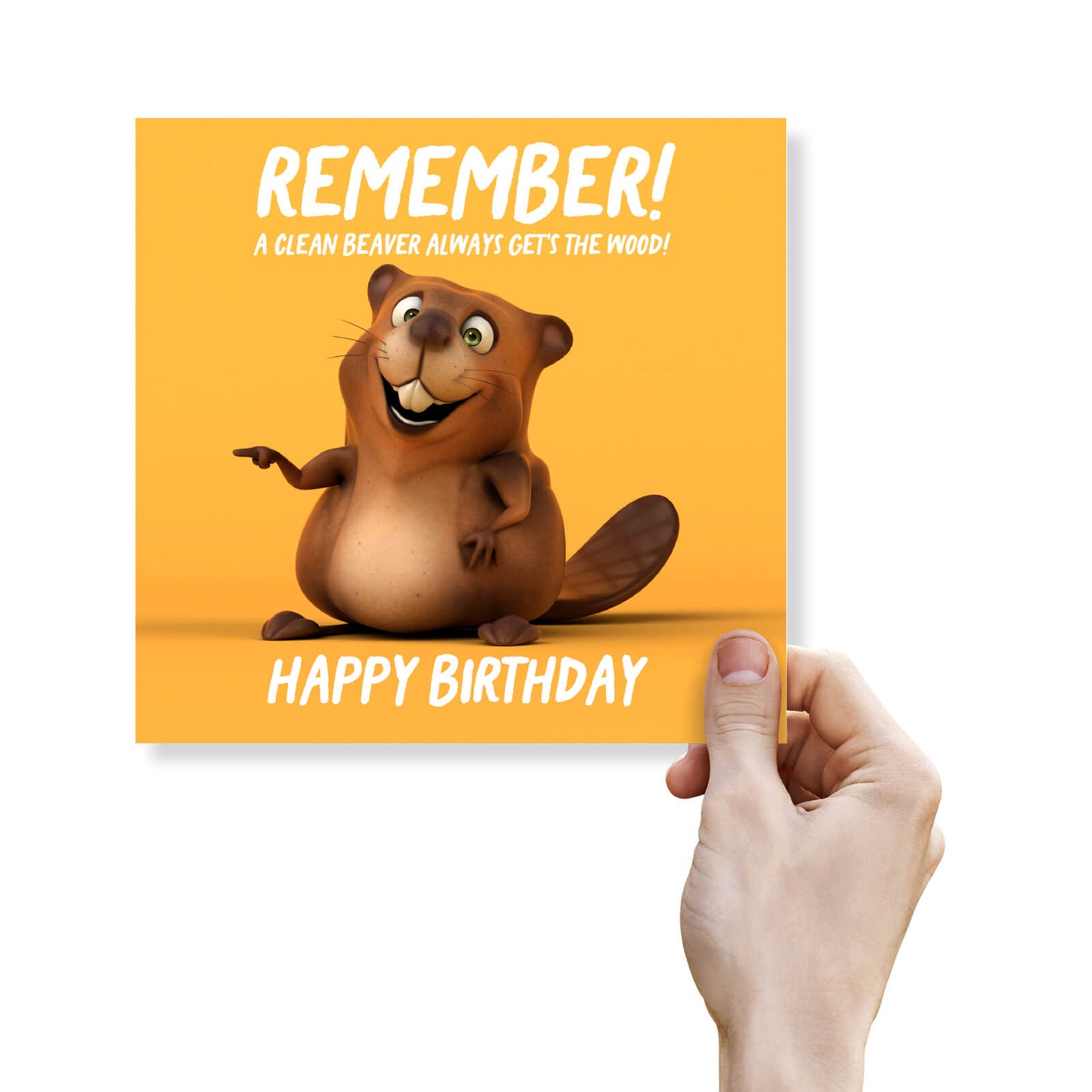 Clean Beaver (Birthday Beaver)