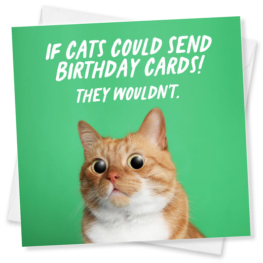 If Cats could send Birthday Cards! They Wouldn’t