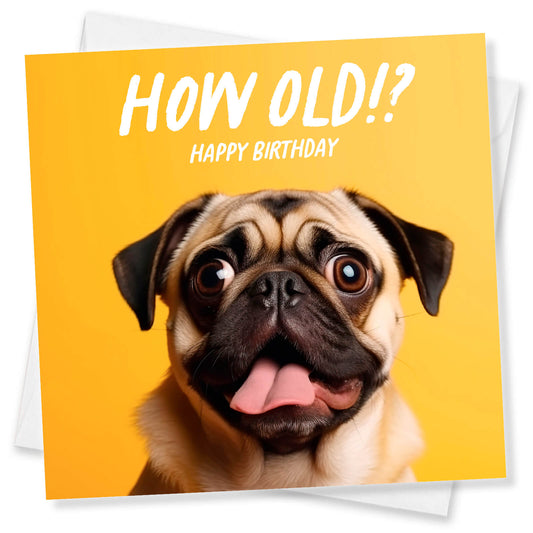 How Old!? – Pug Birthday Card