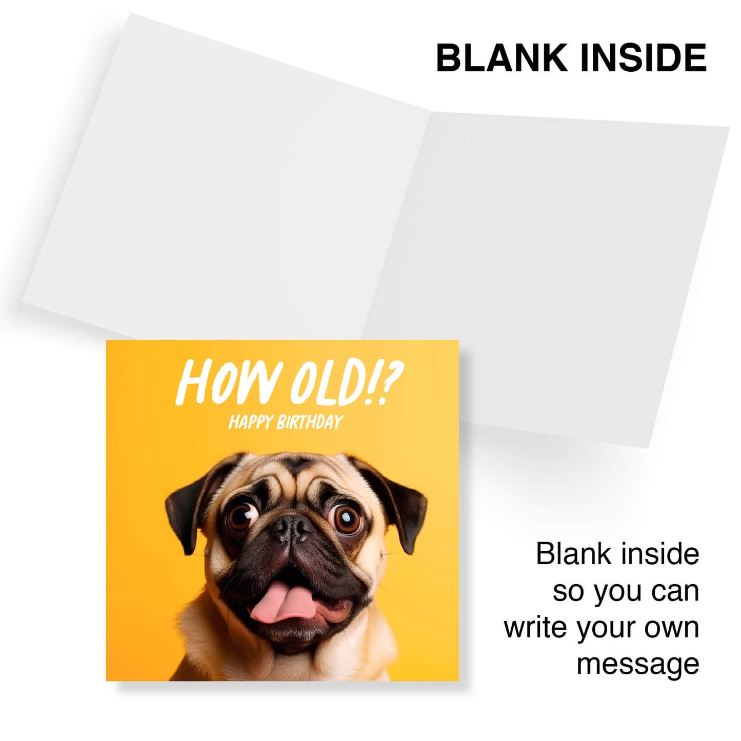 How Old!? – Pug Birthday Card