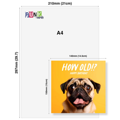 How Old!? – Pug Birthday Card