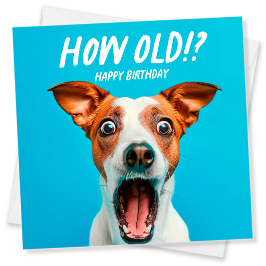 How Old!? – Jack Russell Birthday Card