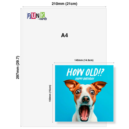 How Old!? – Jack Russell Birthday Card