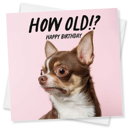 How Old!? – Chihuahua Birthday Card