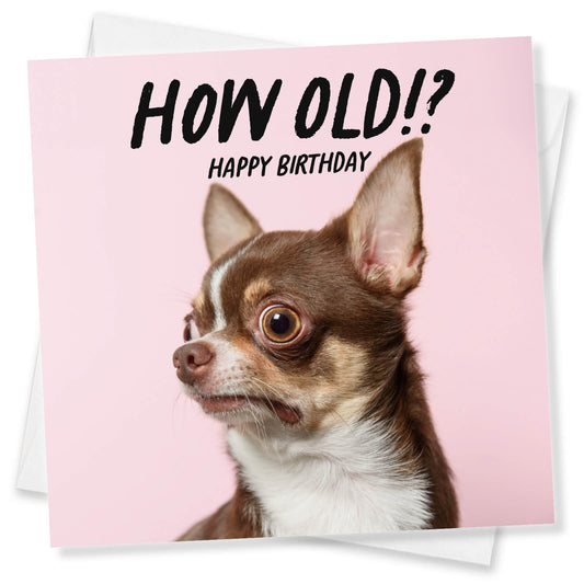 How Old!? – Chihuahua Birthday Card