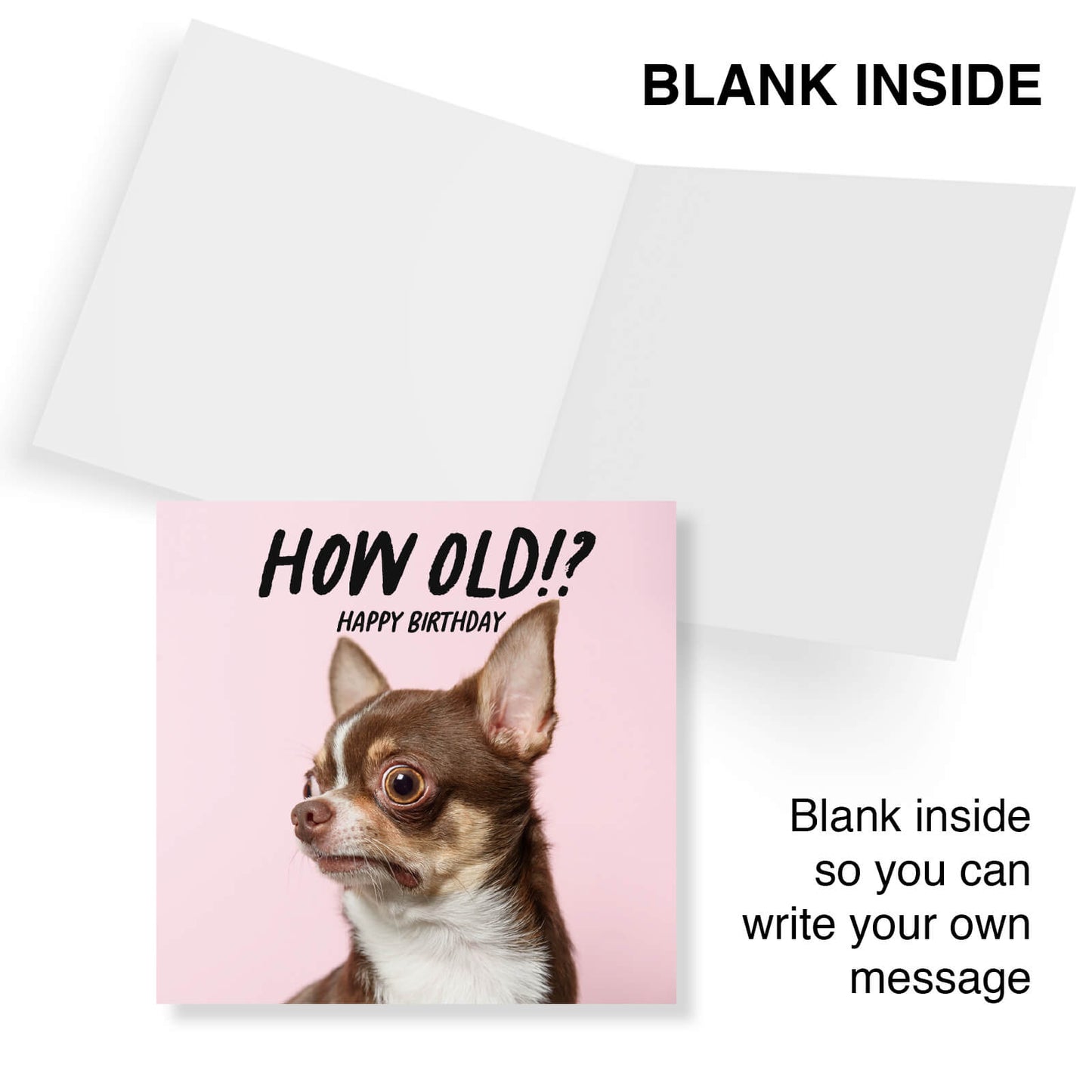 How Old!? – Chihuahua Birthday Card
